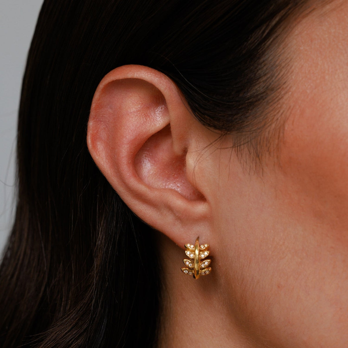 Aretes de aro Laurel