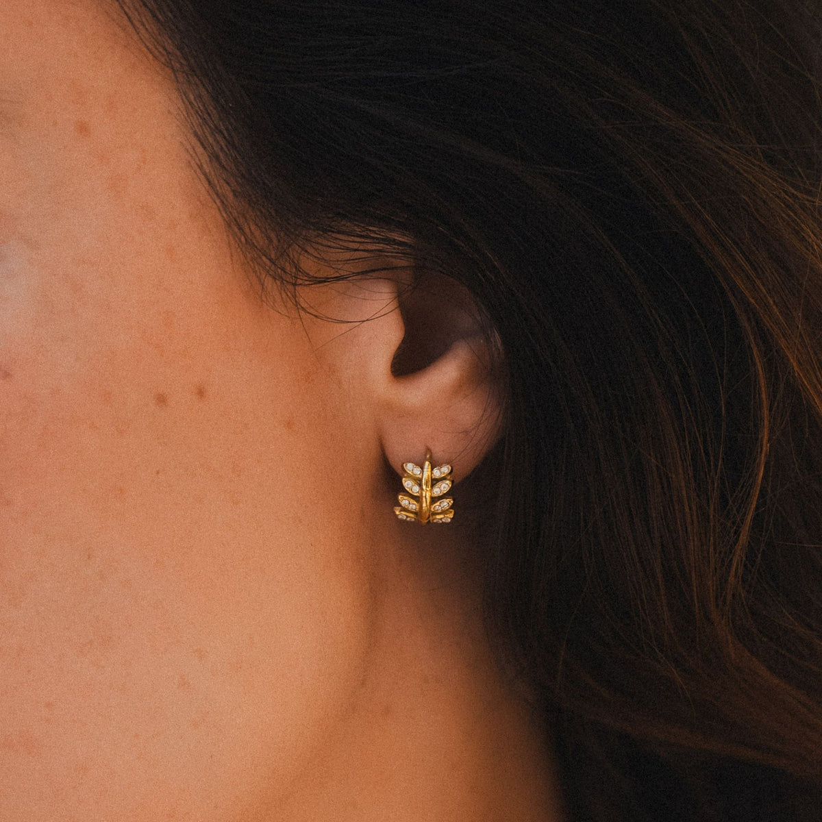 Aretes de aro Laurel