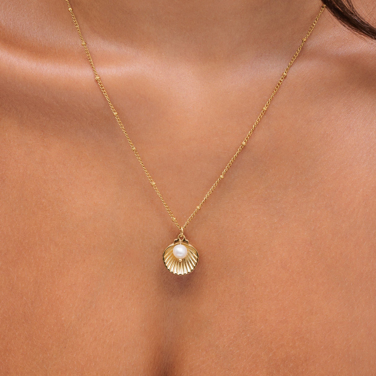 Collar de conchas