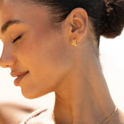Aretes de aro Laurel