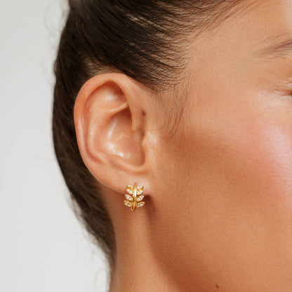 Aretes de aro Laurel