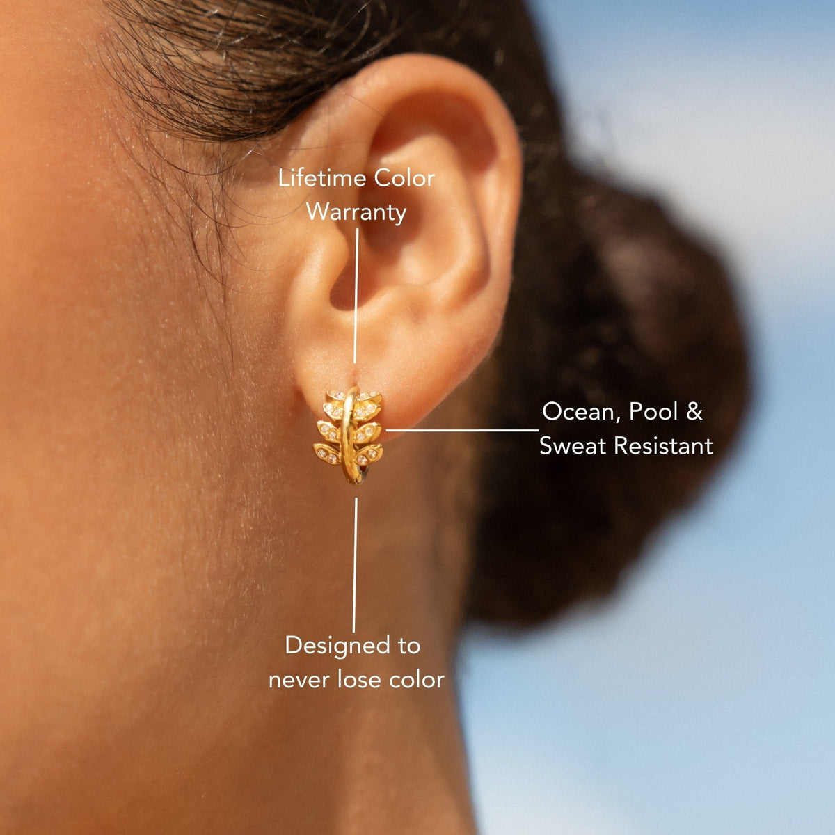 Aretes de aro Laurel