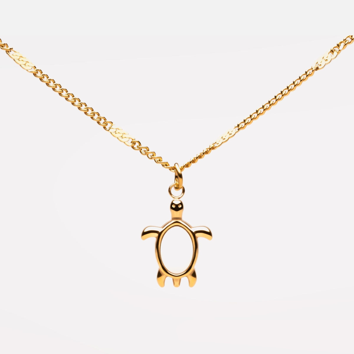 Turtle Guardian Necklace